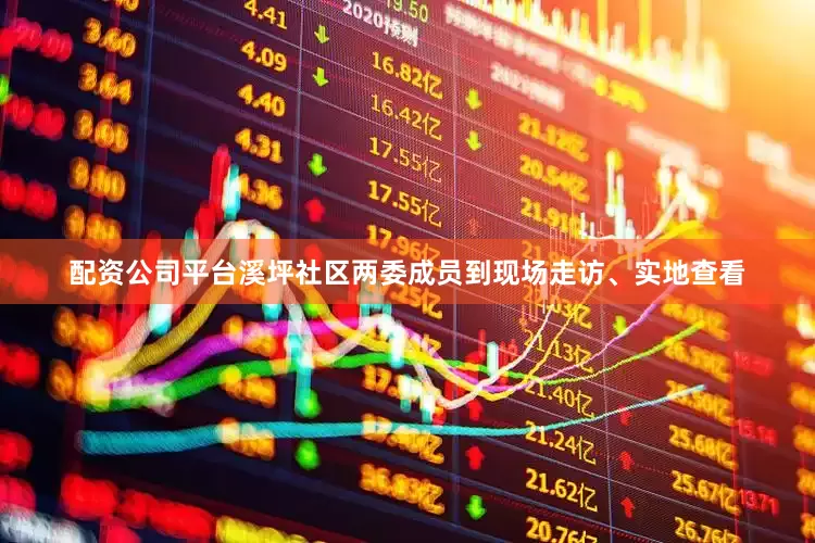 配资公司平台溪坪社区两委成员到现场走访、实地查看