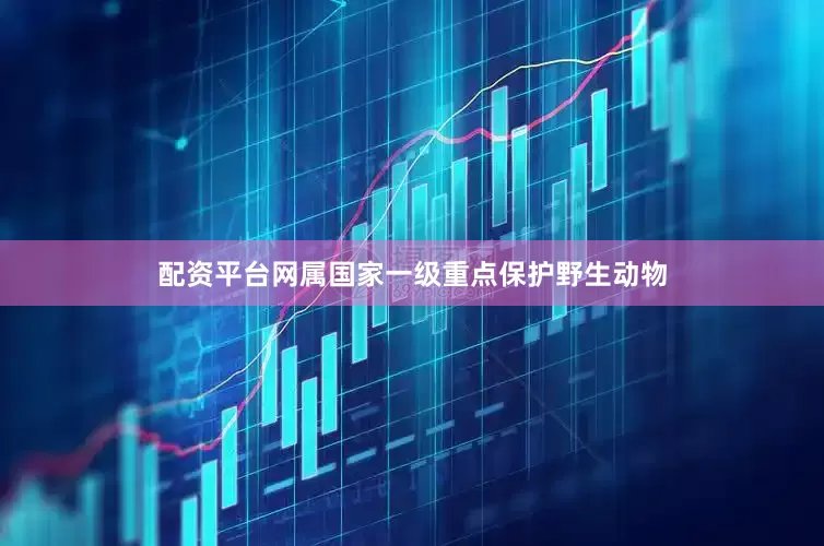 配资平台网属国家一级重点保护野生动物