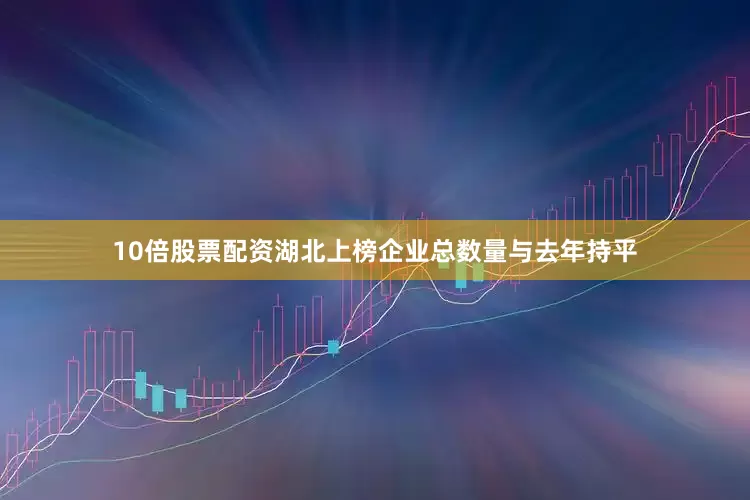 10倍股票配资湖北上榜企业总数量与去年持平