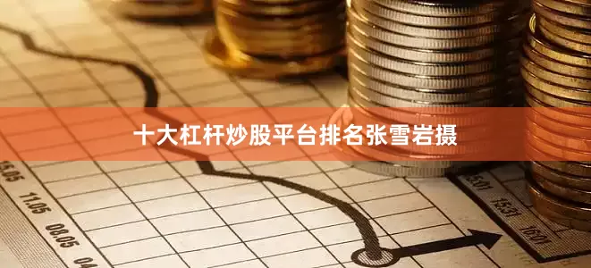 十大杠杆炒股平台排名张雪岩摄